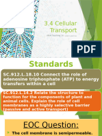 3.4+Cell+Transport +MKM24