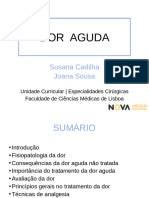 DOR  AGUDA_2022