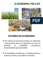 Setores Da Economia, PIB e DIT