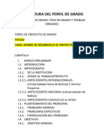 ESTRUCTURA DEL PERFIL DE GRADO