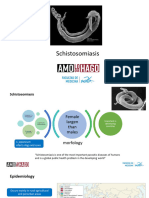 Week 9 Schistosomiasis