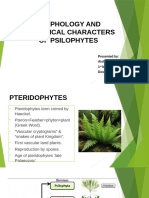 Morphology and Anatomical Characters of Psilophytes