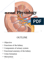 Renal Physiology for nurse