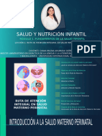 Lección 2 Ruta de atención integral en salud Materno Perinatal