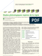 Stades Phénologiques Repères de La Vigne