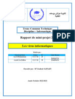 les virus de l'informatique