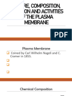 plasma_membrane