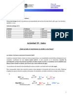 FormaciÃ³n_de_Sales (1)