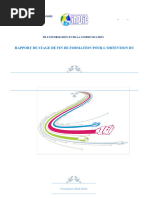 Rapport de Stage de Fin de Formation Pour Oz[1]