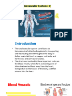 04-Cardiovascular System - blood vesseles