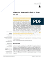 Manejo dor neuropática em cães 2016