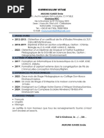 Emile Cv PDF Actualise