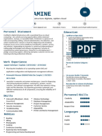 What a Cv Should Look Like Example Template Free Download