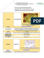 Bioestimulacion Hidrocarburos Diésel.