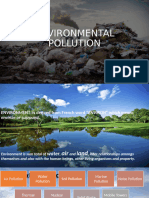 Environmental Pollution