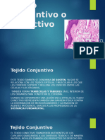 Tejido conjuntivo