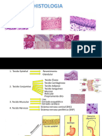 Histologia_0530a6045fd1084fd5a4317796781337