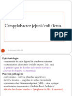 10 campylobacter.helico,legionnella,riketssia 2015