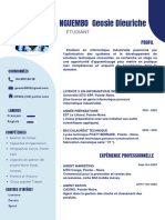 CV Français Simple Minimaliste Bleu