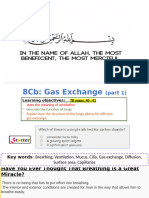 8Cb Gas Exchange (Part 1)