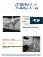 Revista Nº2-V42-2022