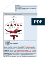 histologia aula prática 