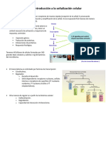 Tema 1 Introducción a la señalización celular