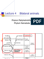 Lecture 4 - Bilateria Platyhelminthes and  Nematoda