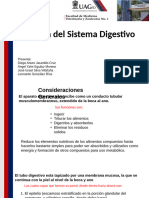 Fisiologia II