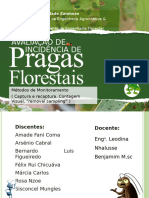 02.PPTAvaliacao Da Incidencia de Pragas Forestais