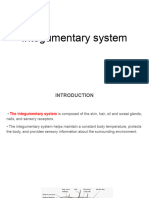 Integumentary System