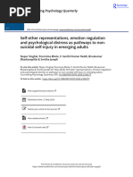 Self-other representations  emotion regulation and psychological distress as pathways to non-suicidal self-injury in emerging adults