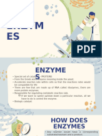 Enzymes Hormones