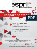 Rapport de Projet