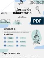 Informe de Laboratorio Julieta Flores