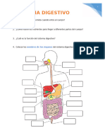 PROYECTO CUERPO HUMANO Y NUTRICIÓN