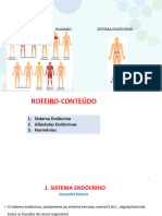 05 - Sistema Endócrino Varela 2024-1