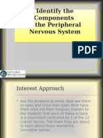 CRANIAL AND SPINAL NERVES