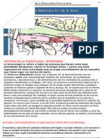 Ginecologia y Obtrtricia Vet.