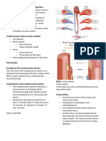 Cardiovascular System Transes