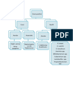 Microbiology Bacteria classification