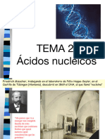 Presentación Tema 2, Ácidos Nucleicos