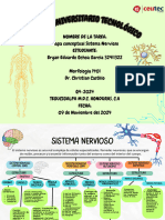 Grafico Mapa ConceptualSIstema Nervioso.pdf