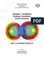 3_cell division