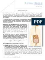 MF2 Sistema Digestivo