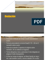 Ovulación