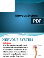 Nervous System