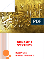 sensory system