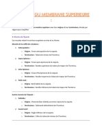 MYOLOGIE DU MEMBRANE SUPERIEURE