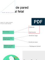 Defectos de Pared Abdominal Fetal